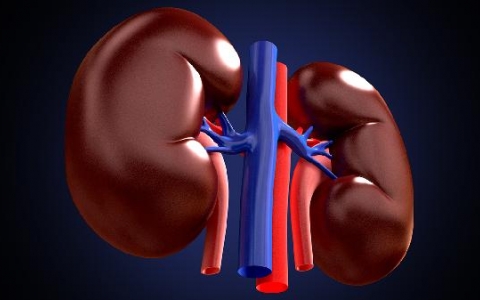 先天性泌尿系畸形能治好吗