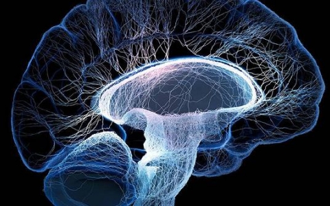 脑裂畸形是什么原因引起的