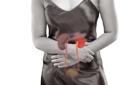 女性膀胱梗阻：血尿风险与健康管理的关键提示！