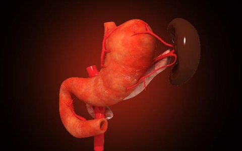 脾大怎么回事呢？怎么治疗呢