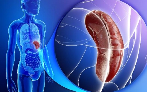 脾脏肿大的治疗和预防