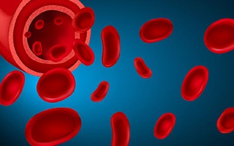 成人斯蒂尔病能治好吗