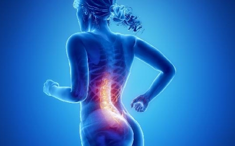 强直和腰突是一样的病吗