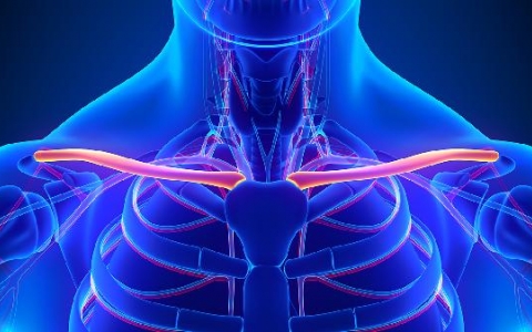 吃鸡胸肉有什么好处