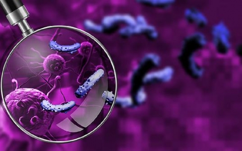 低烧可以冷敷额头吗