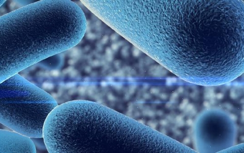 低烧可以贴退热贴吗