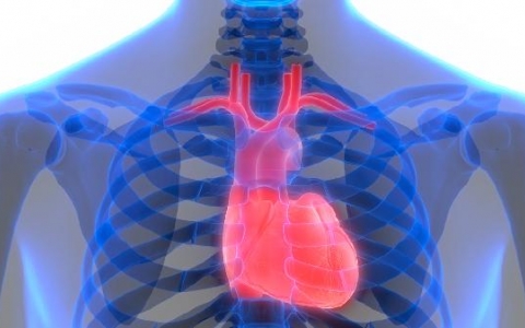 卵圆孔未闭有什么危害