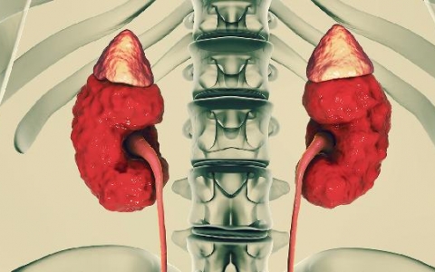 一直反复低烧怎么回事