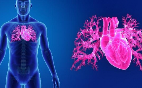 心脏骤停医院应该如何恢复？