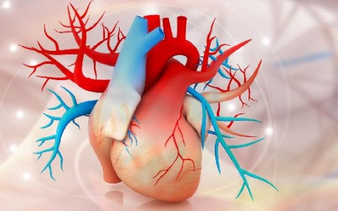 心脏骤停的影响是什么？