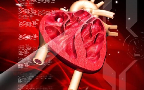 导致心脏骤停的因素有哪些？