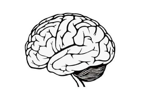 脑梗死能不能做手术