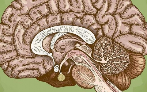 心源性脑栓塞的检查方法有哪些