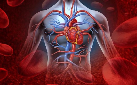 颈动脉斑块大小标淮