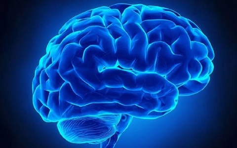 恶性脑瘤的症状是什么