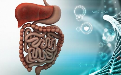 老人十二指肠堵塞怎么办