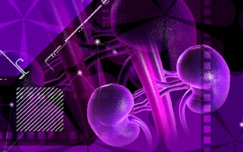 得肾病的人会经常感冒吗