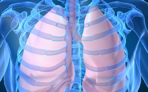 双肺结节灶是什么意思呢