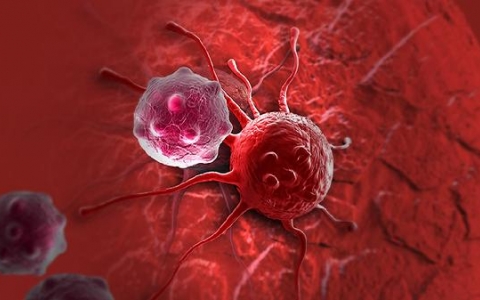 病毒感冒低烧肚子热怎么办