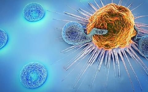 病毒感冒吃冷的还是热的