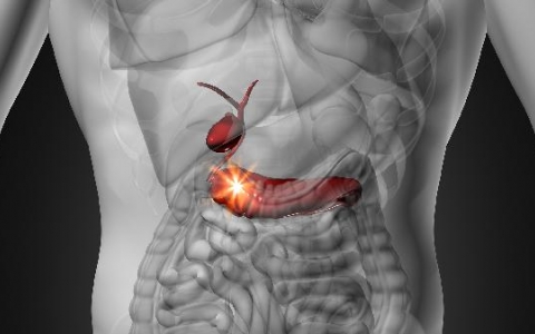 肝胆红素高是什么引起的