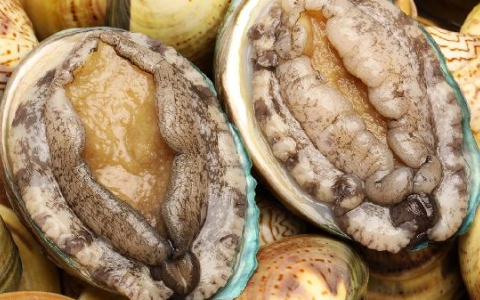吃海鲜套餐后胃疼怎么回事