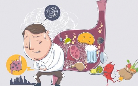 如何避免肠胃灾难？掌握这4个关键，远离食物中毒困扰！