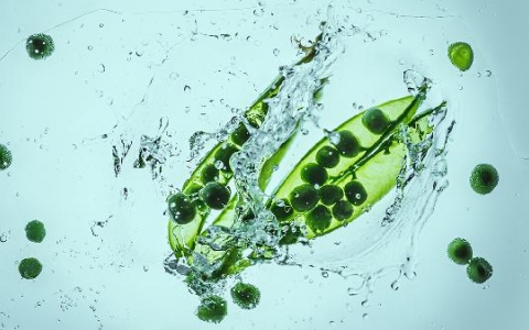 生物钟紊乱怎么调整