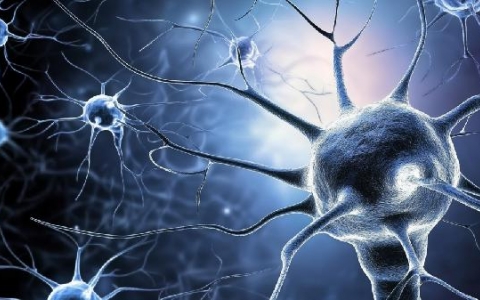 头鬓角两边疼可能是什么原因