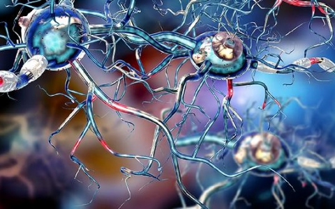 神经性受损具体包括哪些