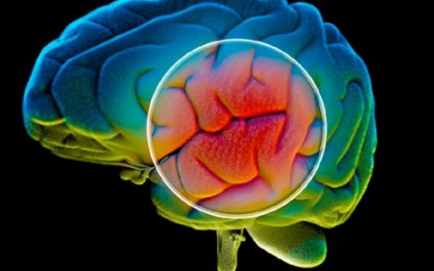 缺血梗塞灶怎么治疗