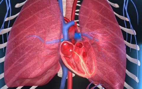 ef值的正常值及意义