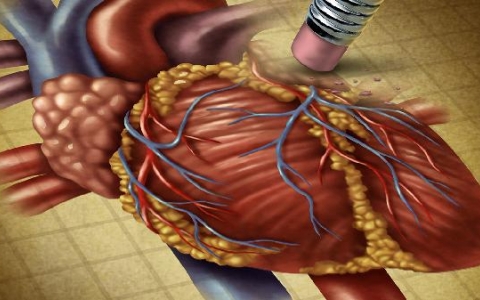 正常的心搏数是多少