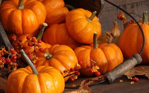 低盐饮食能预防哪些疾病？