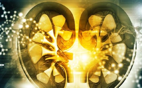 低密度脂蛋白升高是肾病吗