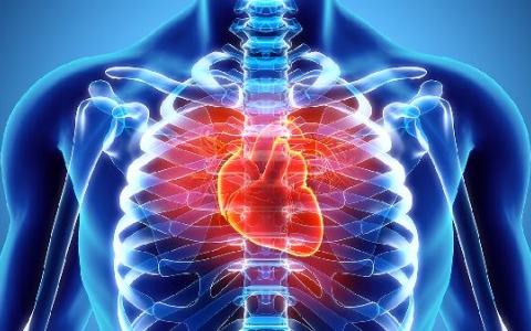 心跳的慢是怎么回事