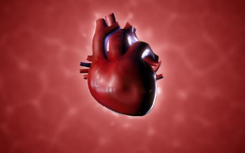 心脏受到刺激会绞痛是什么原因