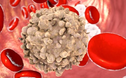 长期白细胞低会自己好吗