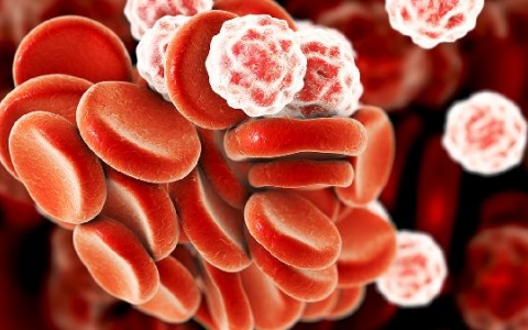 怎么样激活白细胞血小板