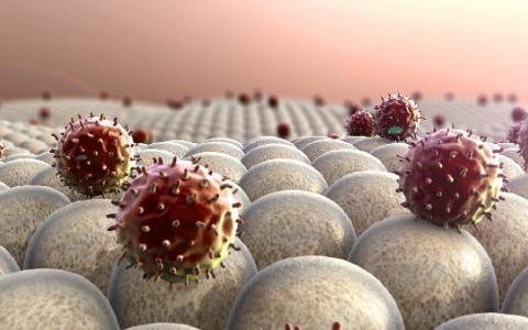 长期白细胞中性粒细胞偏低