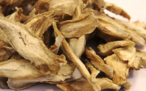 牛蒡根对肝有什么好处