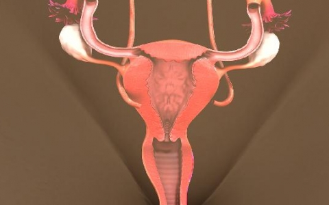 女性肛周炎会产生异味吗
