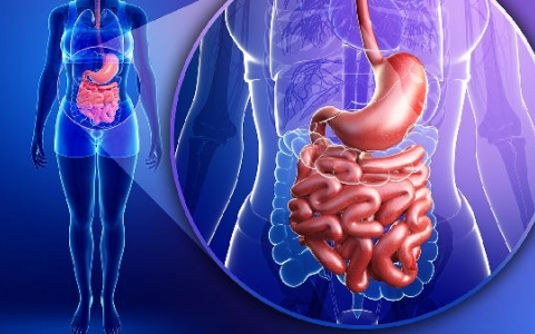 空肠管与胃管有什么区别