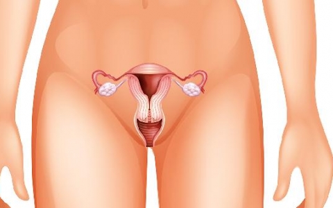 肛周炎可以吃甜食吗女人