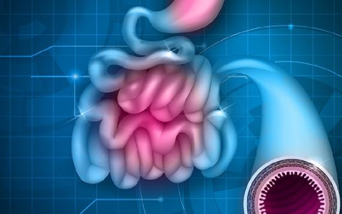 肠梗死的治疗方法有哪些？