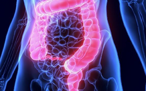 肛门坠胀有时带动屁股有点酸