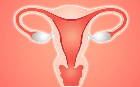 应该多久做一次hpv