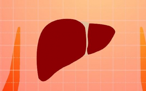 酒精肝硬化导致肝腹水腿肿怎么治疗