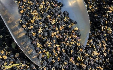 肠道蠕动慢便秘怎么办？吃什么食物