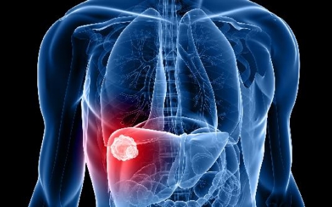 治疗肝损伤的食物